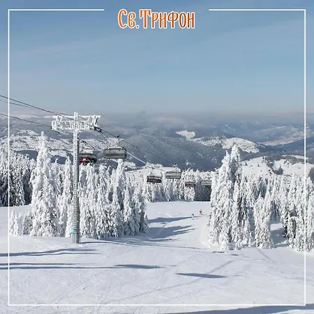 свети трифон *