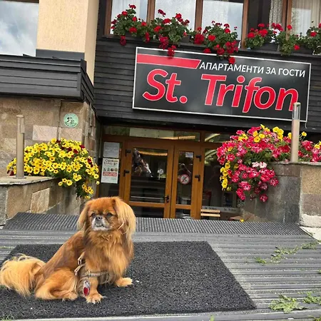 St Trifon Guests Pamporovo